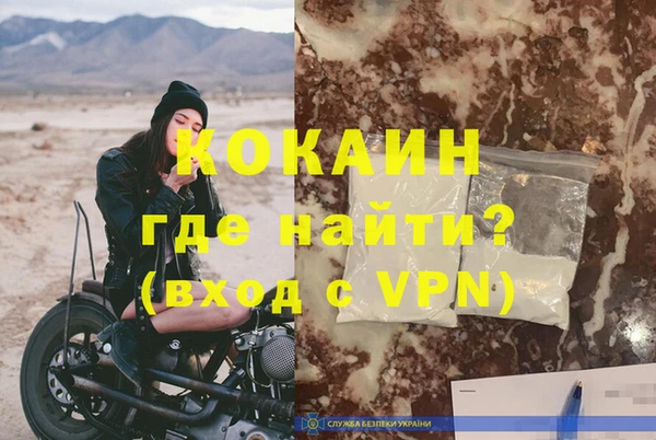 стаф Богданович
