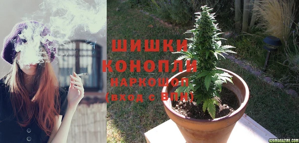 стаф Богданович