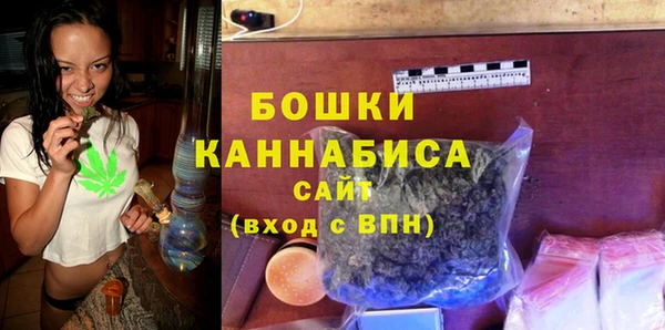 стаф Богданович