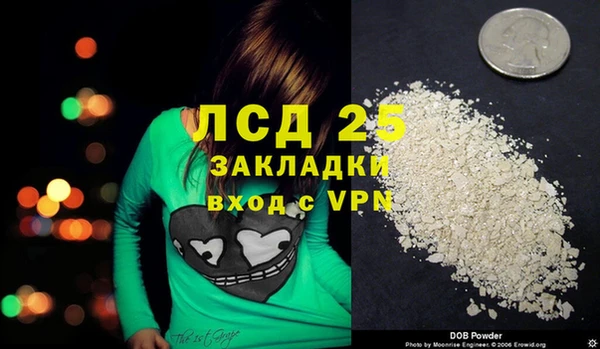 стаф Богданович