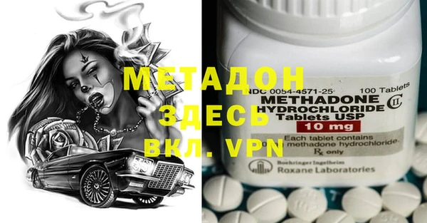 стаф Богданович